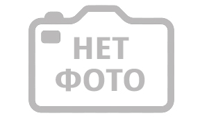 Квиз Мозгва Новички 603 День 2
